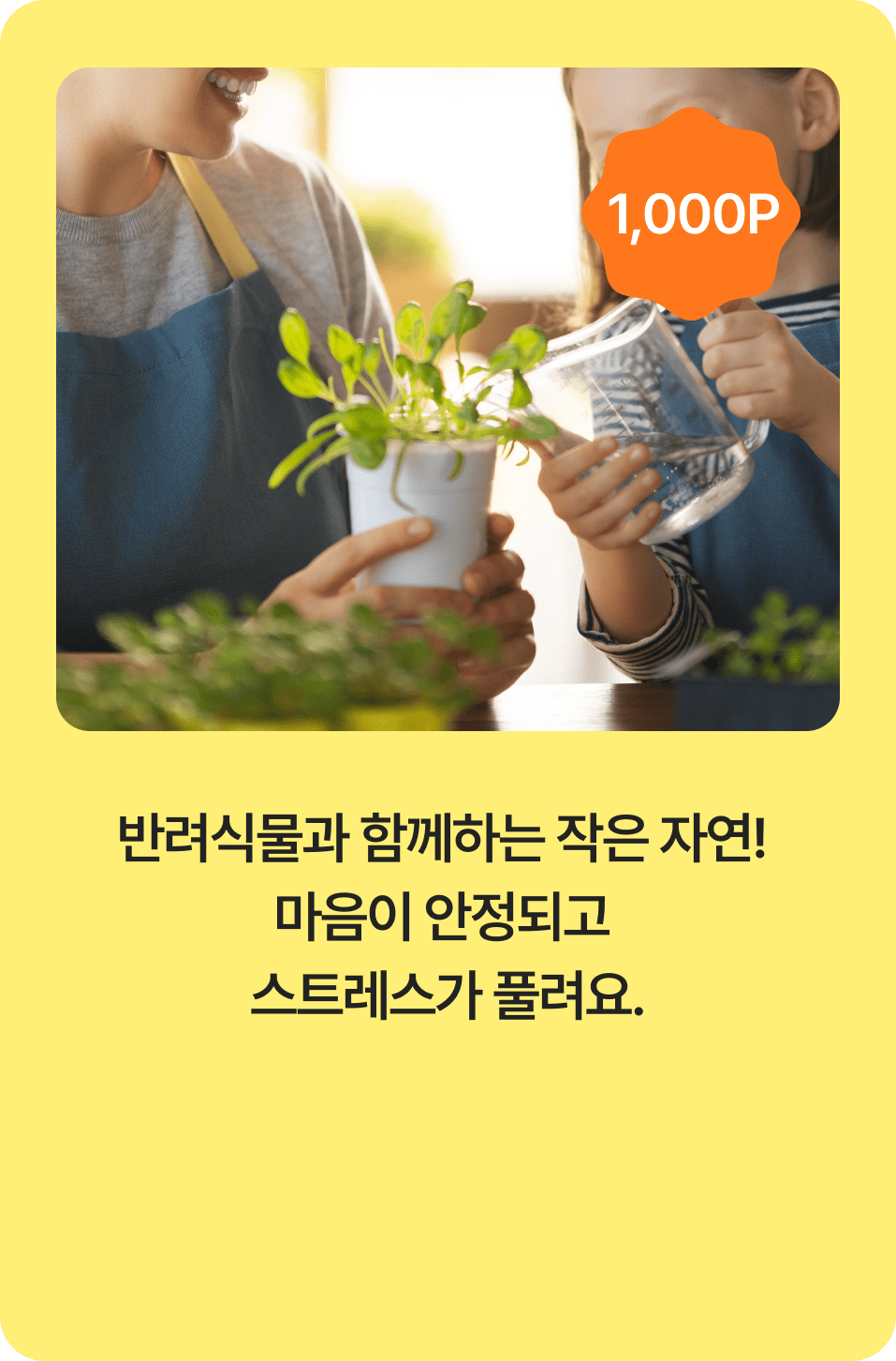 반려식물과 함께하는 작은 자연! 마음이 안정되고 스트레스가 풀려요.