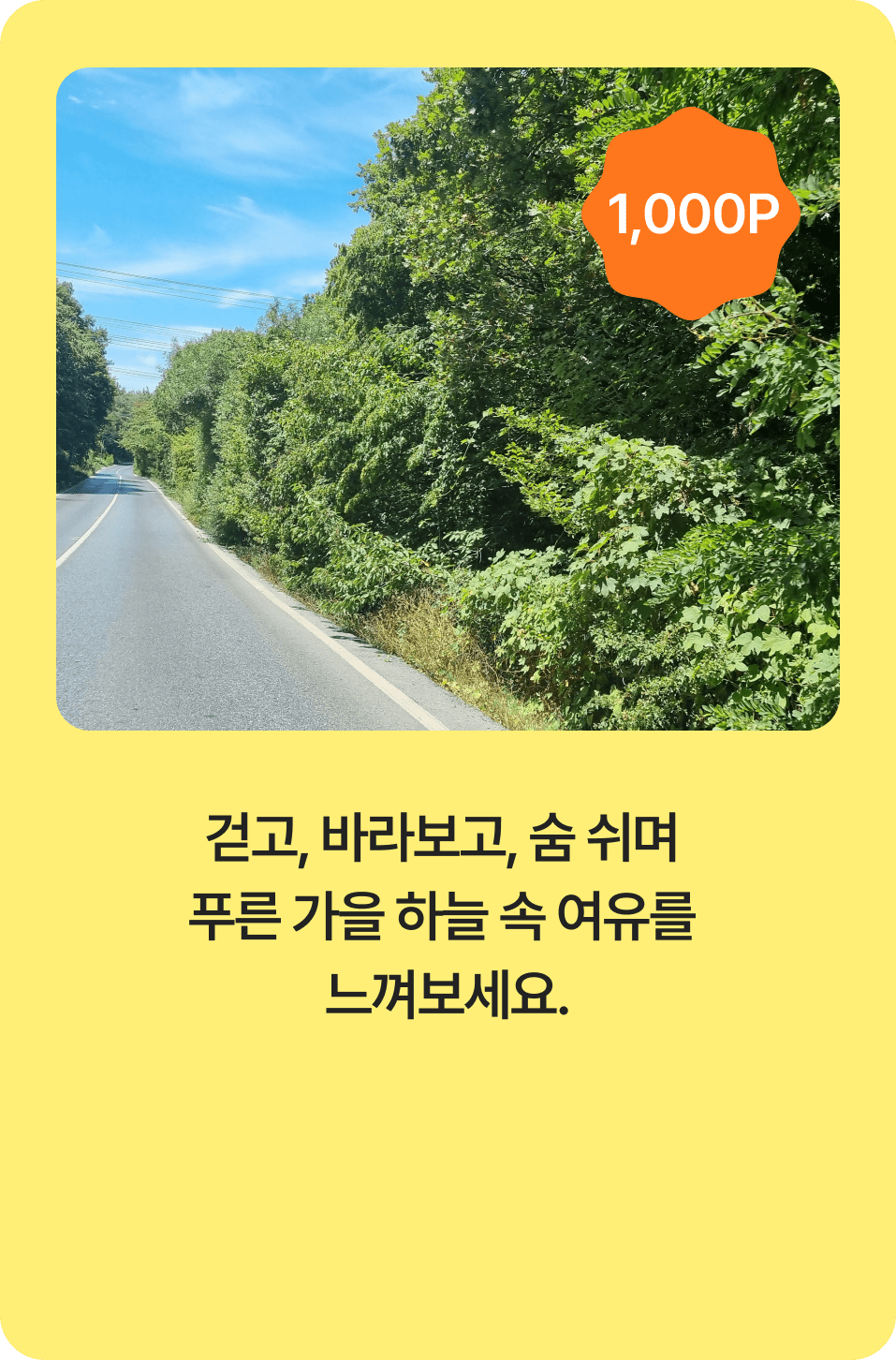 걷고, 바라보고, 숨 쉬며 푸른 가을 하늘 속 여유를 느껴보세요.